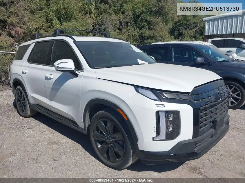 2023 Hyundai Palisade Xrt VIN: KM8R34GE2PU613730 Lot: 40559461