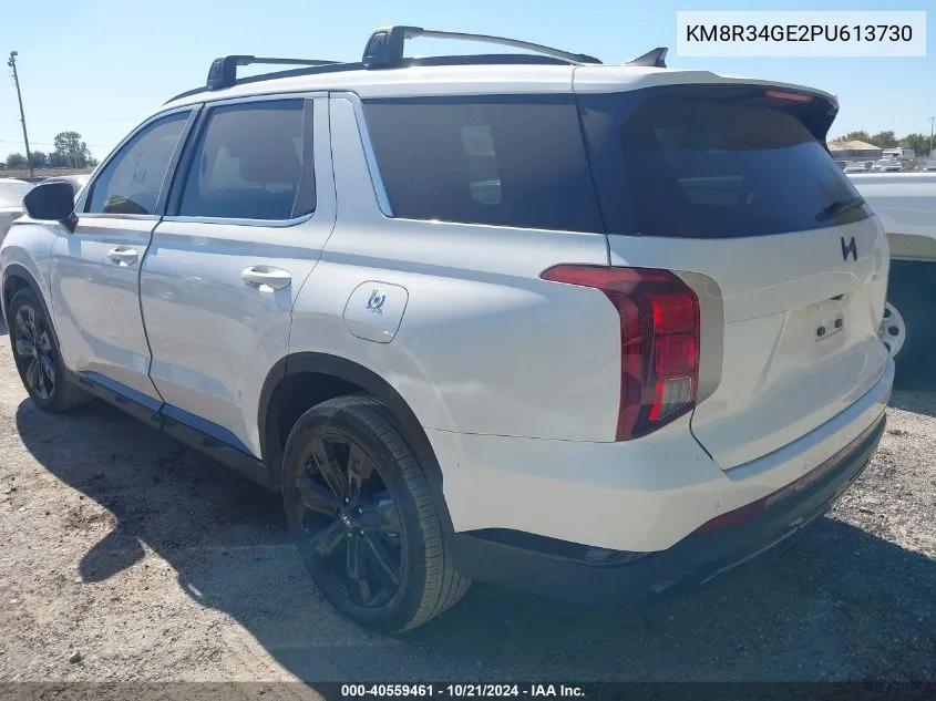 2023 Hyundai Palisade Xrt VIN: KM8R34GE2PU613730 Lot: 40559461