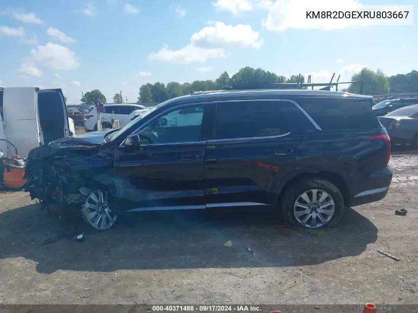 KM8R2DGEXRU803667 2024 Hyundai Palisade Sel