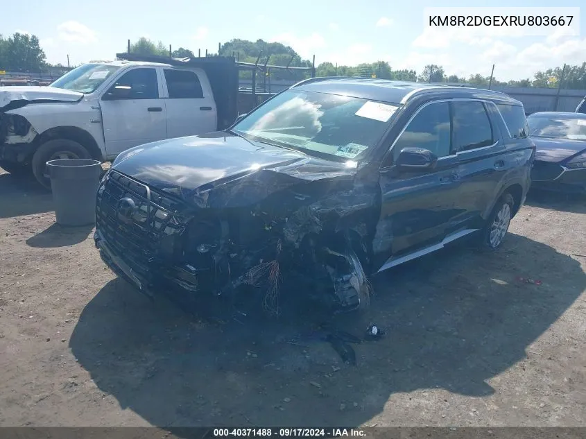 KM8R2DGEXRU803667 2024 Hyundai Palisade Sel