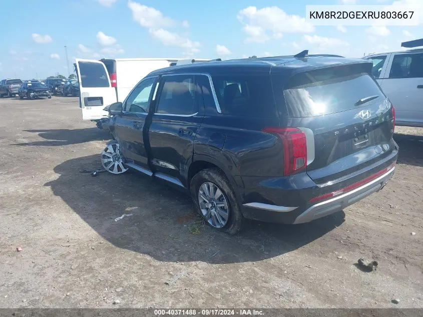 KM8R2DGEXRU803667 2024 Hyundai Palisade Sel