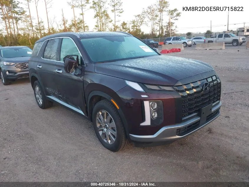 2024 Hyundai Palisade Sel VIN: KM8R2DGE5RU715822 Lot: 40725346