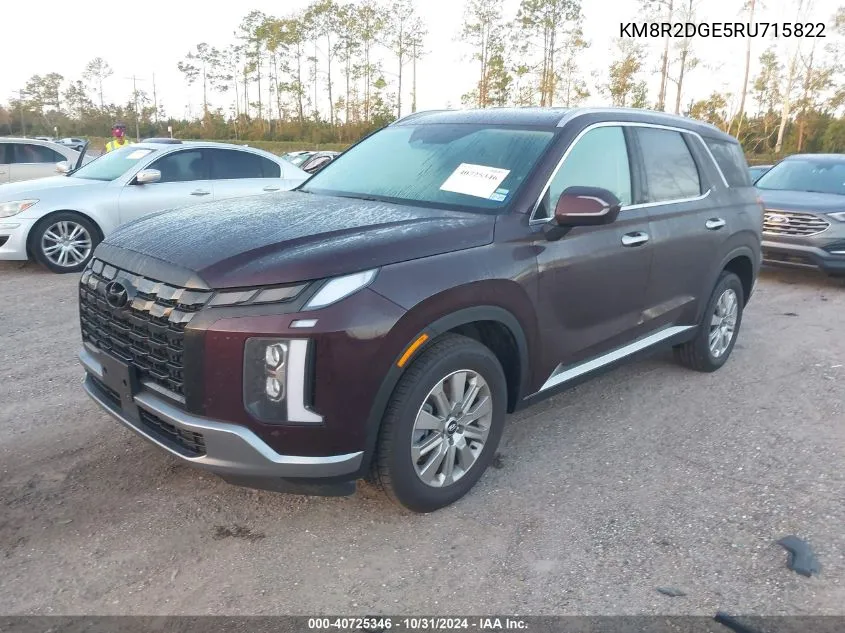 2024 Hyundai Palisade Sel VIN: KM8R2DGE5RU715822 Lot: 40725346