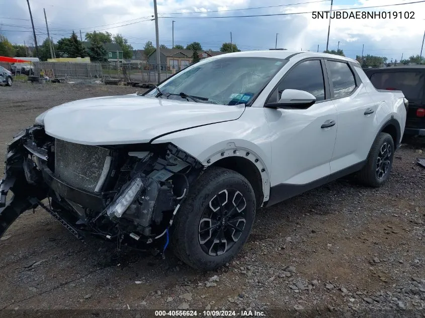 2022 Hyundai Santa Cruz Sel VIN: 5NTJBDAE8NH019102 Lot: 40556624