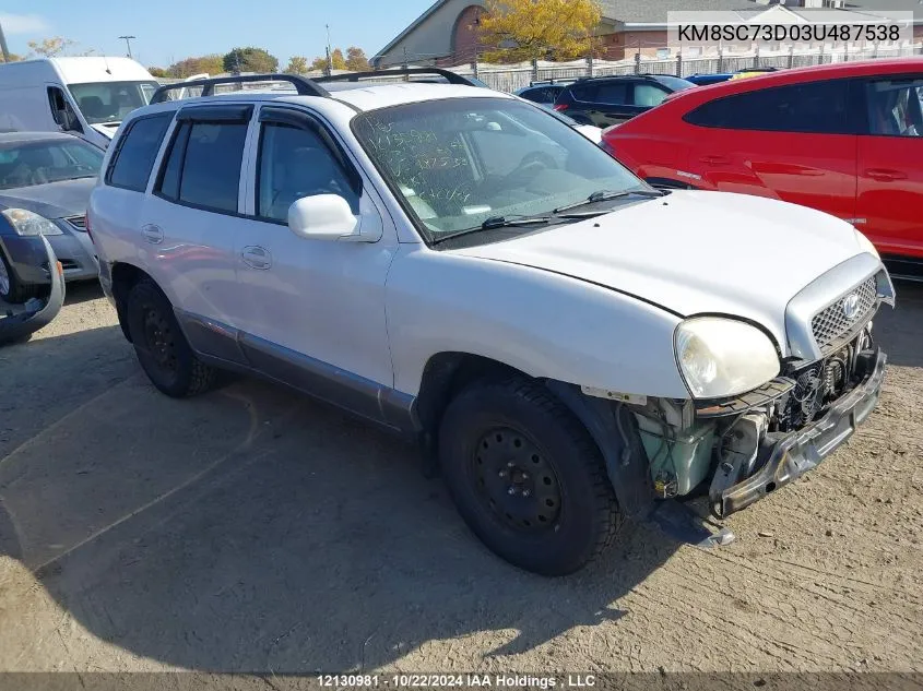 2003 Hyundai Santa Fe VIN: KM8SC73D03U487538 Lot: 12130981