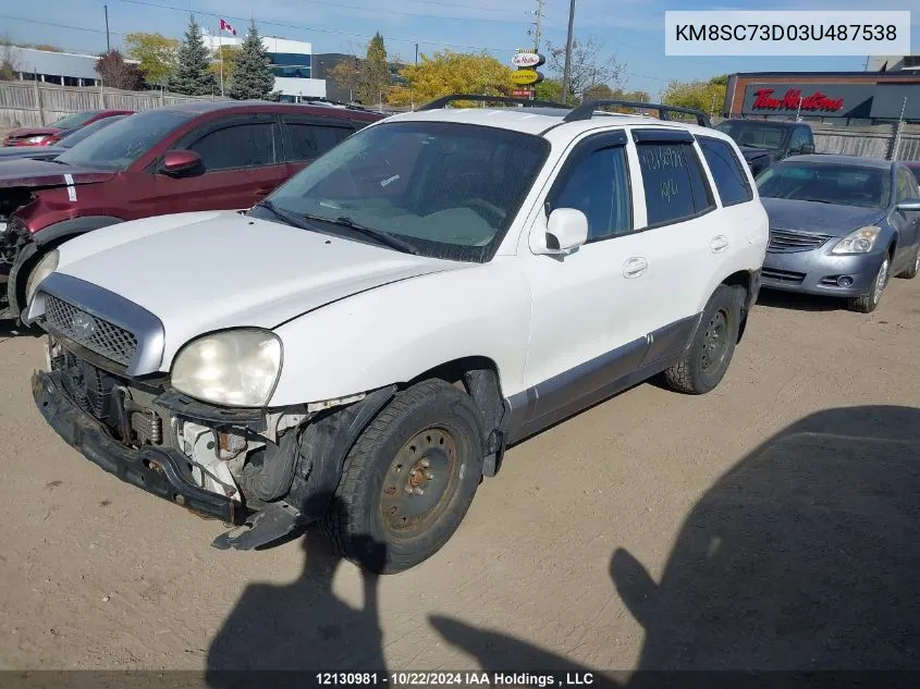 KM8SC73D03U487538 2003 Hyundai Santa Fe