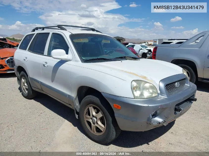 2003 Hyundai Santa Fe VIN: KM8SB12B43U341479 Lot: 40091363