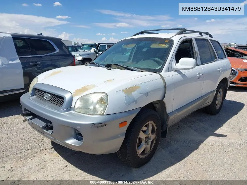 2003 Hyundai Santa Fe VIN: KM8SB12B43U341479 Lot: 40091363