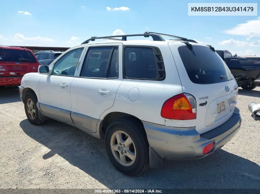 2003 Hyundai Santa Fe VIN: KM8SB12B43U341479 Lot: 40091363