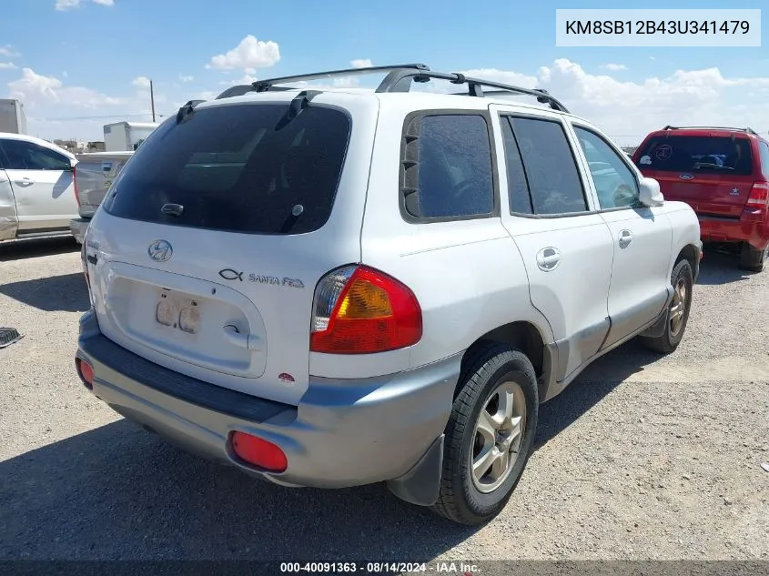 2003 Hyundai Santa Fe VIN: KM8SB12B43U341479 Lot: 40091363