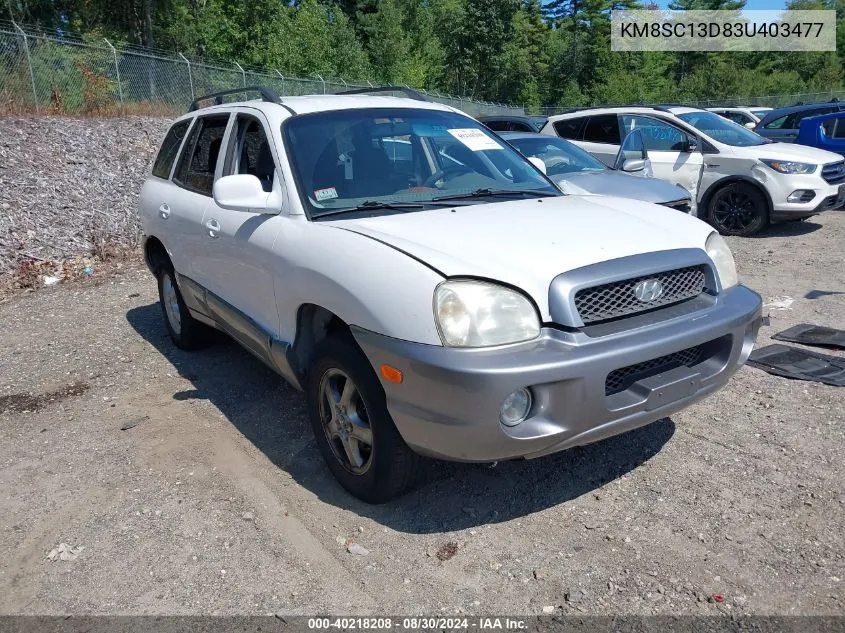 2003 Hyundai Santa Fe Gls/Lx VIN: KM8SC13D83U403477 Lot: 40218208