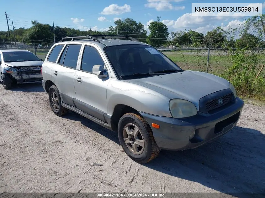 2003 Hyundai Santa Fe Gls/Lx VIN: KM8SC13E03U559814 Lot: 40421184