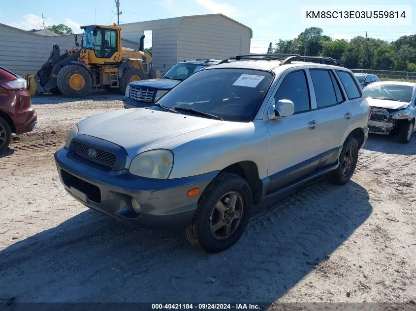 2003 Hyundai Santa Fe Gls/Lx VIN: KM8SC13E03U559814 Lot: 40421184