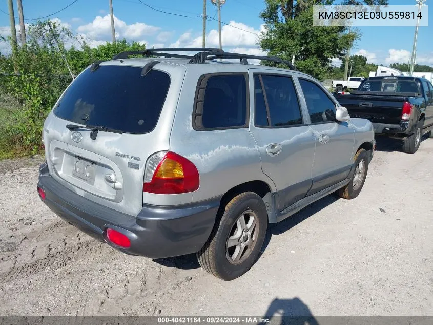 2003 Hyundai Santa Fe Gls/Lx VIN: KM8SC13E03U559814 Lot: 40421184