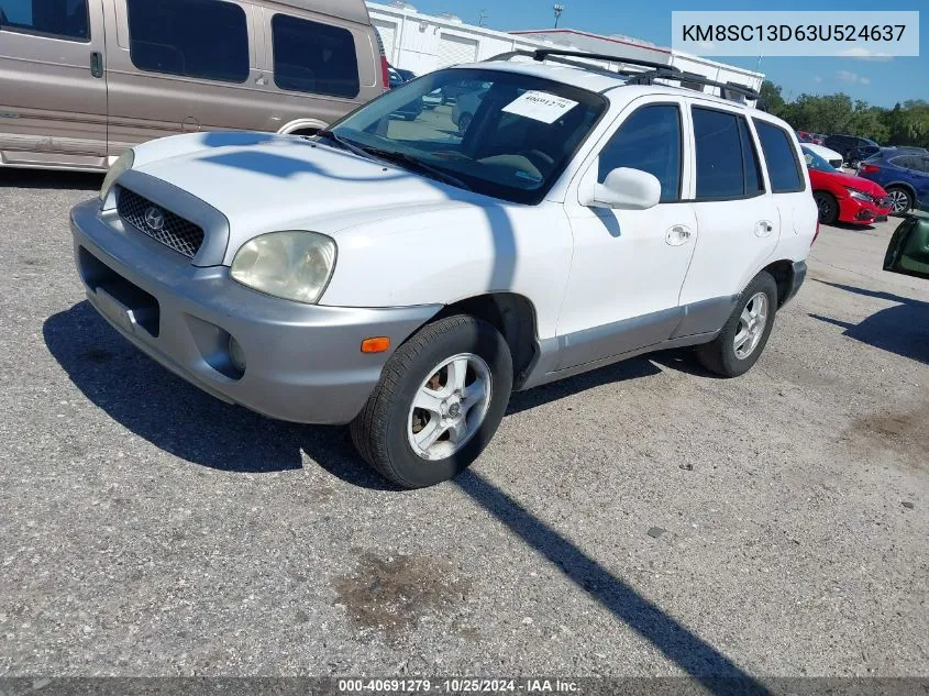 2003 Hyundai Santa Fe Gls/Lx VIN: KM8SC13D63U524637 Lot: 40691279