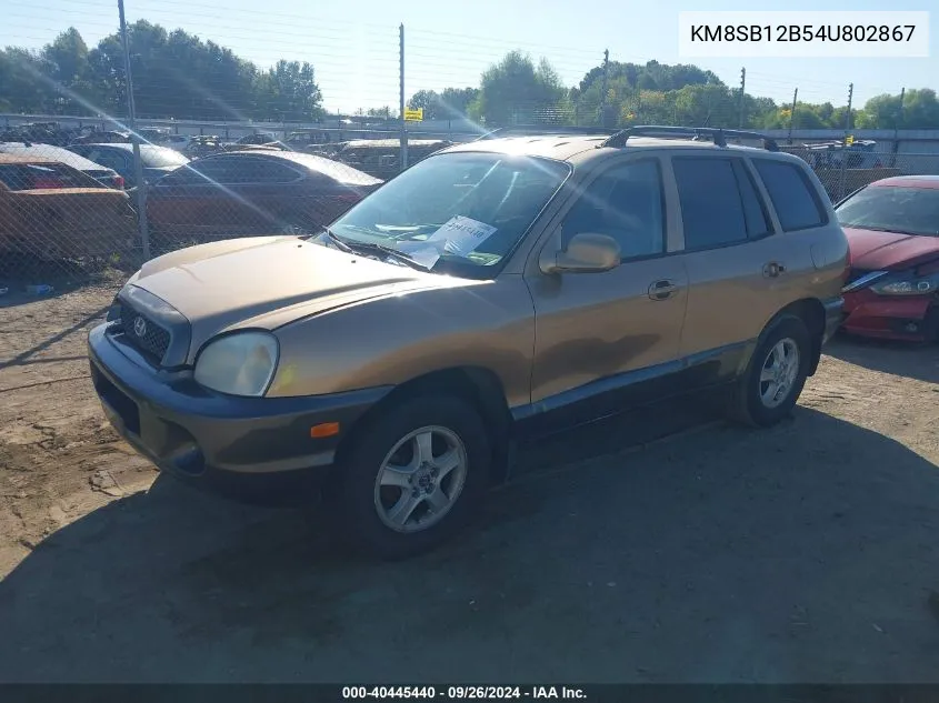 KM8SB12B54U802867 2004 Hyundai Santa Fe