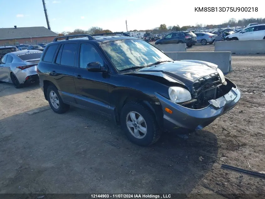 2005 Hyundai Santa Fe VIN: KM8SB13D75U900218 Lot: 12144903