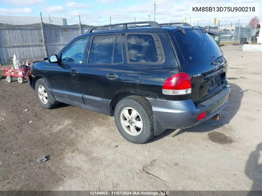 2005 Hyundai Santa Fe VIN: KM8SB13D75U900218 Lot: 12144903