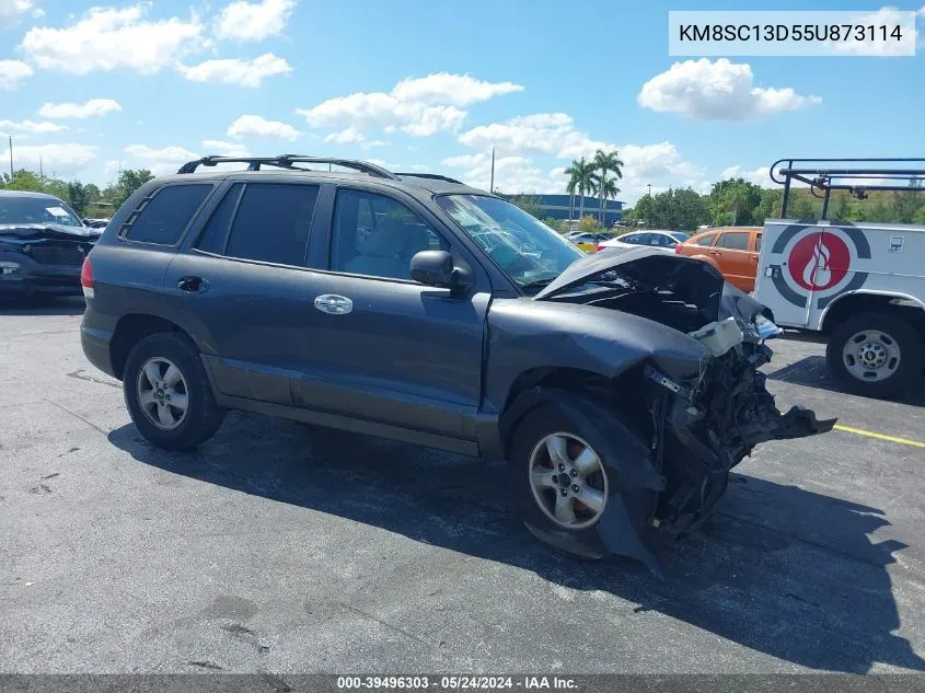 2005 Hyundai Santa Fe Gls VIN: KM8SC13D55U873114 Lot: 39496303