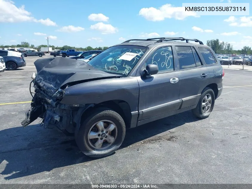 2005 Hyundai Santa Fe Gls VIN: KM8SC13D55U873114 Lot: 39496303