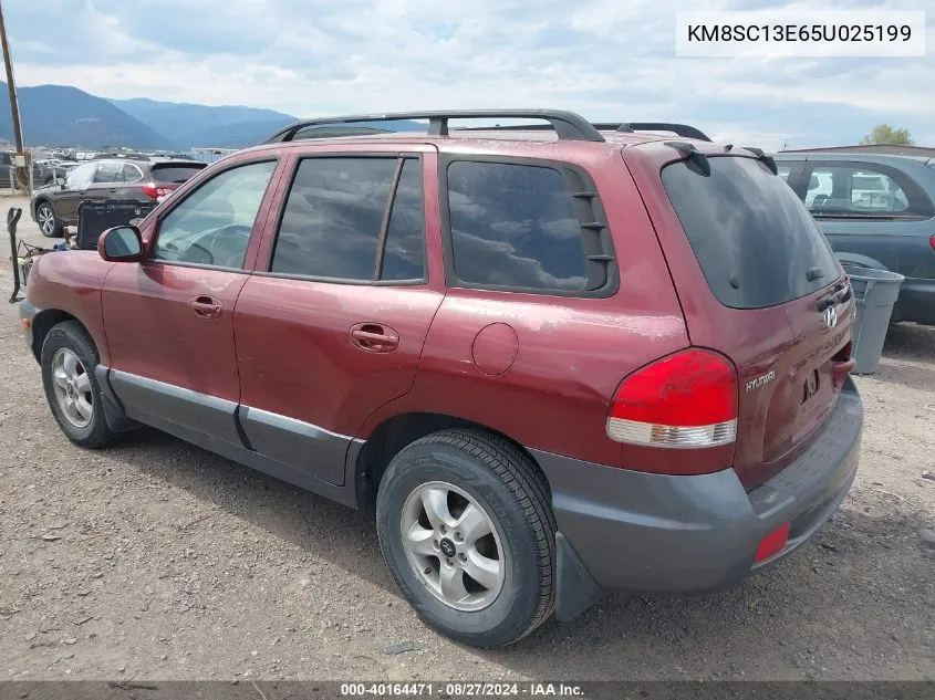 2005 Hyundai Santa Fe Gls/Lx VIN: KM8SC13E65U025199 Lot: 40164471