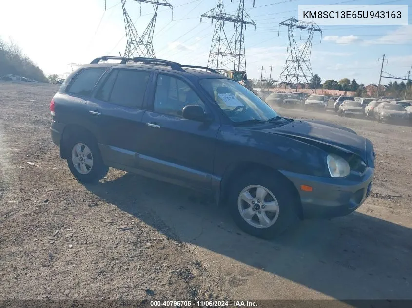 2005 Hyundai Santa Fe Gls/Lx VIN: KM8SC13E65U943163 Lot: 40795705