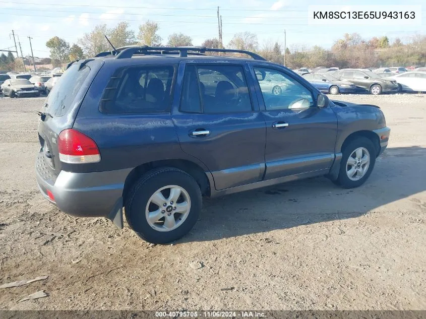 2005 Hyundai Santa Fe Gls/Lx VIN: KM8SC13E65U943163 Lot: 40795705