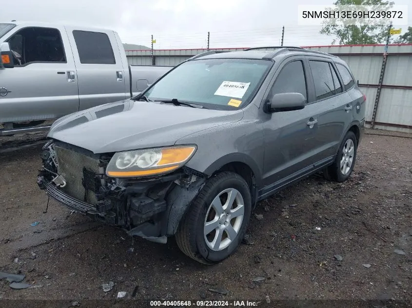 2009 Hyundai Santa Fe Limited VIN: 5NMSH13E69H239872 Lot: 40405648