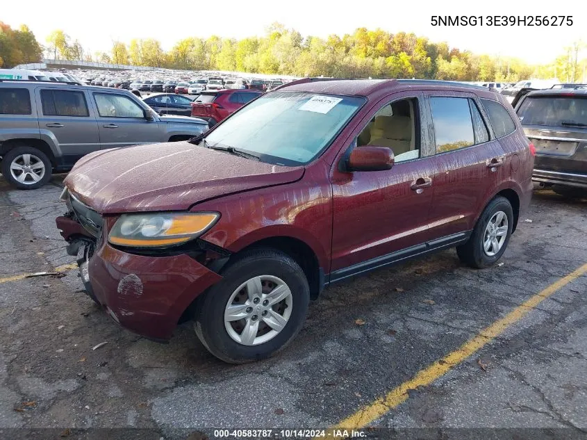 2009 Hyundai Santa Fe Gl VIN: 5NMSG13E39H256275 Lot: 40583787