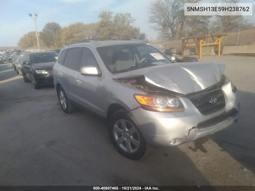 2009 Hyundai Santa Fe Se VIN: 5NMSH13E59H238762 Lot: 40607465