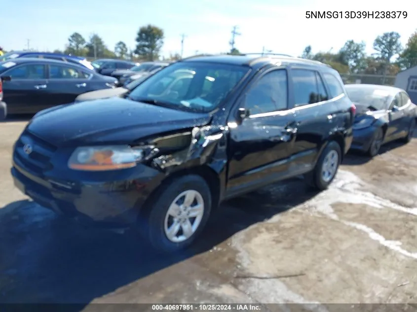 2009 Hyundai Santa Fe Gls VIN: 5NMSG13D39H238379 Lot: 40697951