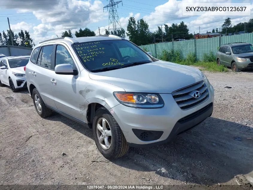 2012 Hyundai Santa Fe Gls VIN: 5XYZG3AB9CG123637 Lot: 12075347