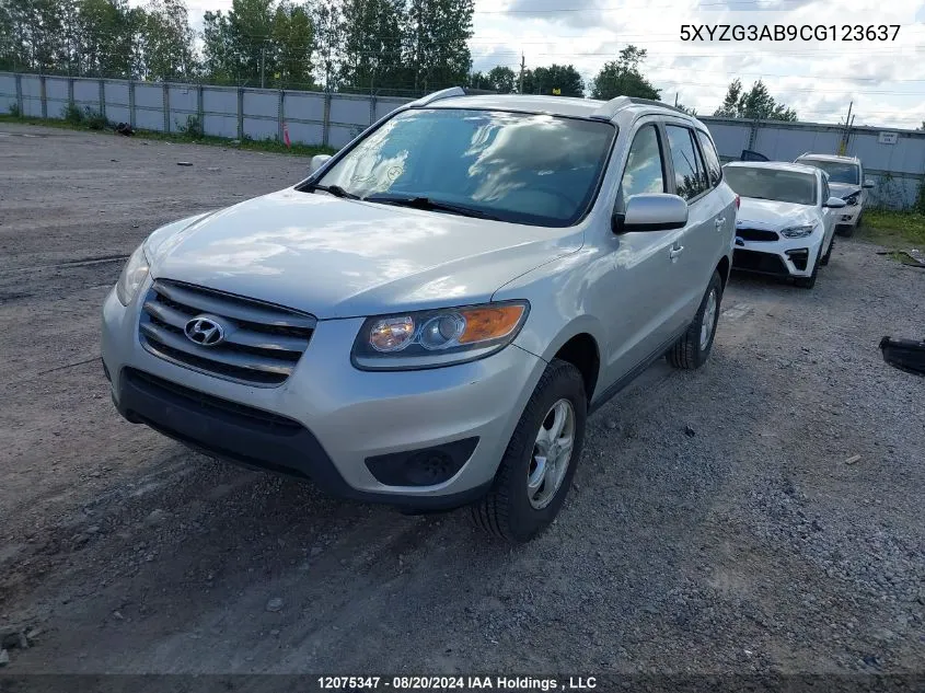 2012 Hyundai Santa Fe Gls VIN: 5XYZG3AB9CG123637 Lot: 12075347