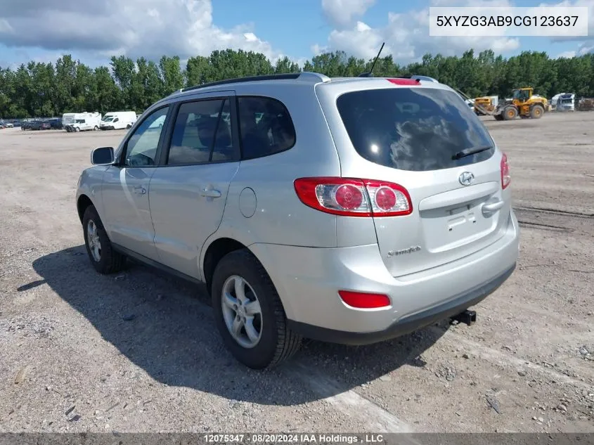 2012 Hyundai Santa Fe Gls VIN: 5XYZG3AB9CG123637 Lot: 12075347