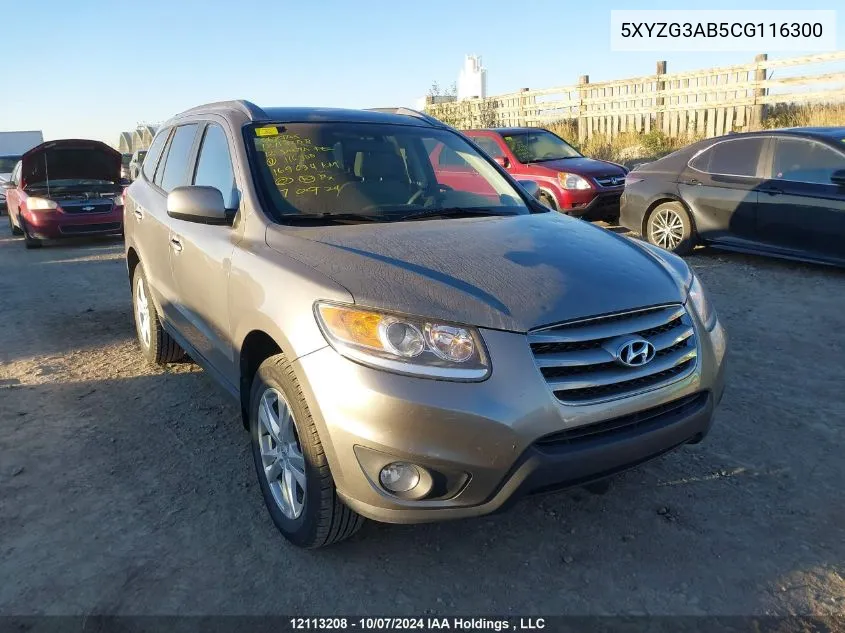 2012 Hyundai Santa Fe Gls VIN: 5XYZG3AB5CG116300 Lot: 12113208