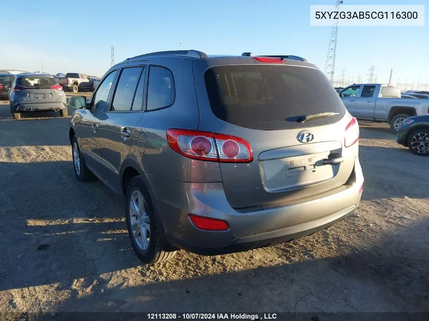 2012 Hyundai Santa Fe Gls VIN: 5XYZG3AB5CG116300 Lot: 12113208