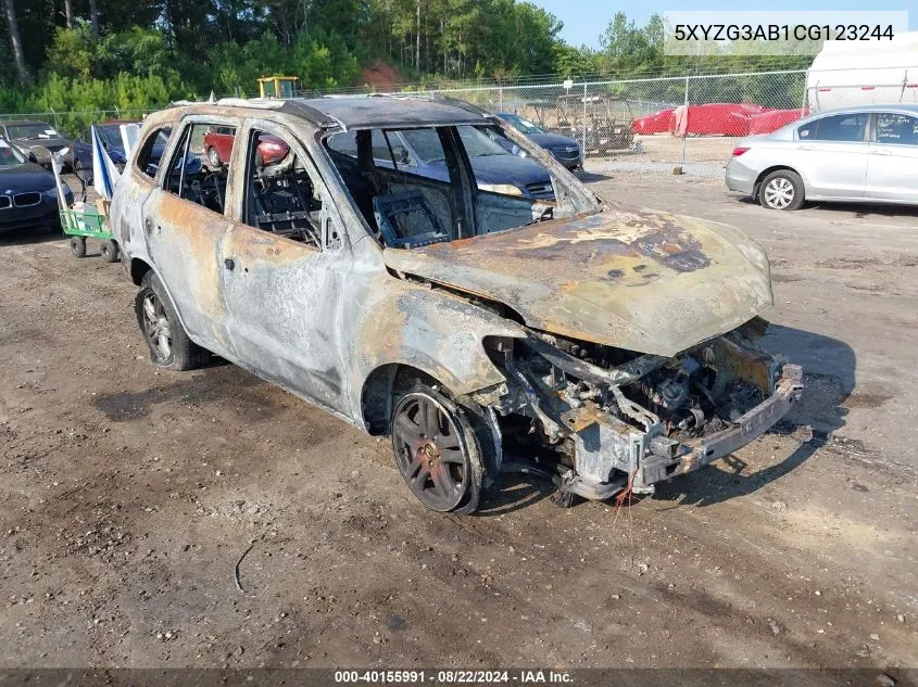 5XYZG3AB1CG123244 2012 Hyundai Santa Fe Gls