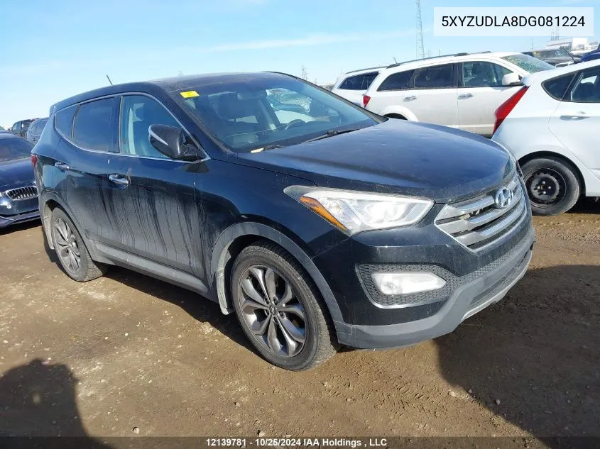 2013 Hyundai Santa Fe Sport VIN: 5XYZUDLA8DG081224 Lot: 12139781