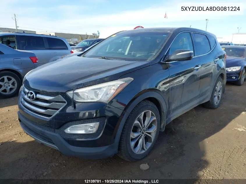 2013 Hyundai Santa Fe Sport VIN: 5XYZUDLA8DG081224 Lot: 12139781