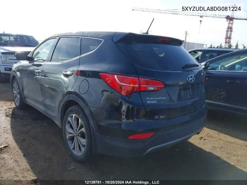 2013 Hyundai Santa Fe Sport VIN: 5XYZUDLA8DG081224 Lot: 12139781