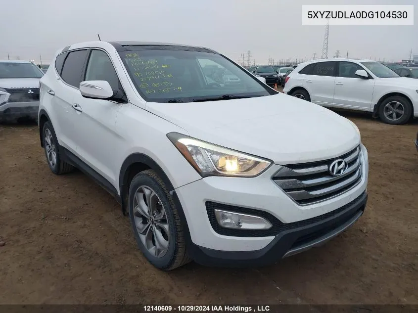 2013 Hyundai Santa Fe Sport VIN: 5XYZUDLA0DG104530 Lot: 12140609