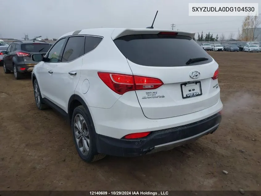 2013 Hyundai Santa Fe Sport VIN: 5XYZUDLA0DG104530 Lot: 12140609