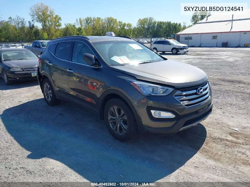 2013 Hyundai Santa Fe Sport VIN: 5XYZUDLB5DG124541 Lot: 40492602