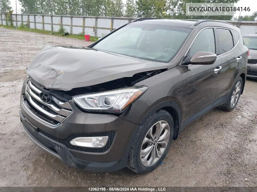 2014 Hyundai Santa Fe Sport VIN: 5XYZUDLA1EG184146 Lot: 12062195