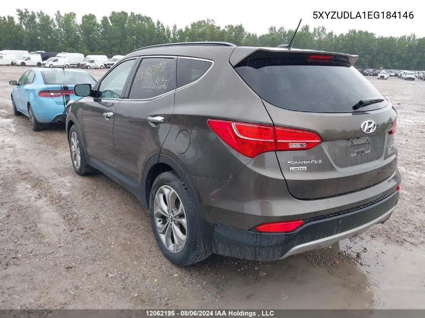 2014 Hyundai Santa Fe Sport VIN: 5XYZUDLA1EG184146 Lot: 12062195