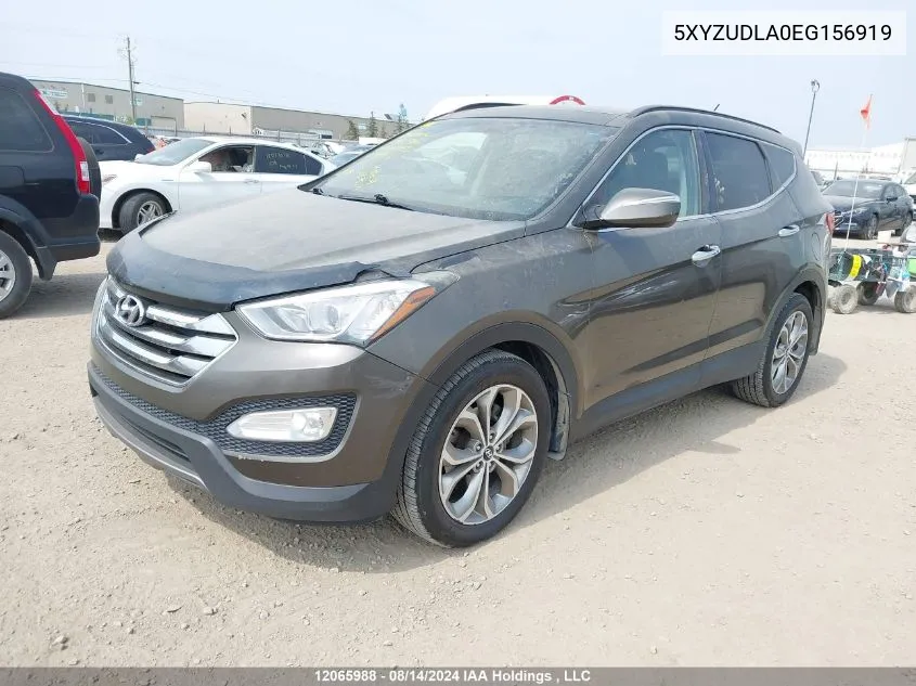 2014 Hyundai Santa Fe Sport 2.0T Limited VIN: 5XYZUDLA0EG156919 Lot: 12065988