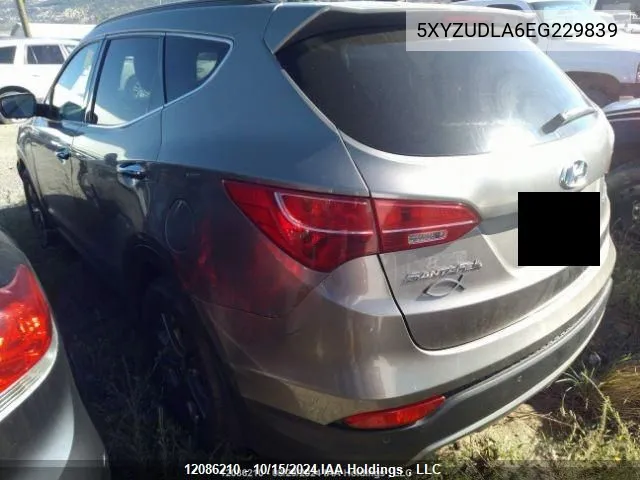 2014 Hyundai Santa Fe Sport VIN: 5XYZUDLA6EG229839 Lot: 12086210