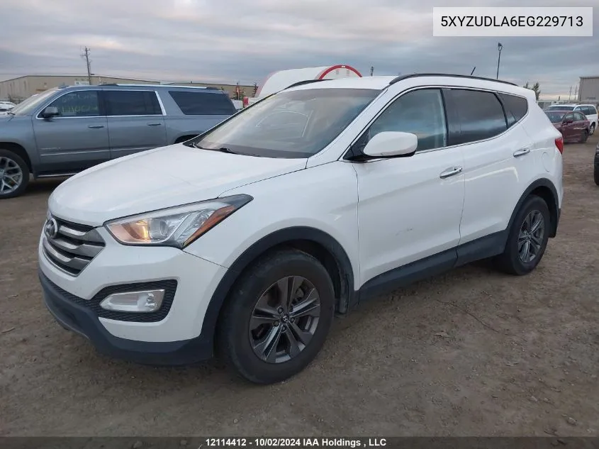 2014 Hyundai Santa Fe Sport 2.0T Premium VIN: 5XYZUDLA6EG229713 Lot: 12114412