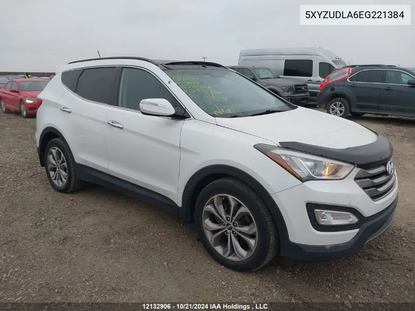 2014 Hyundai Santa Fe Sport VIN: 5XYZUDLA6EG221384 Lot: 12132906