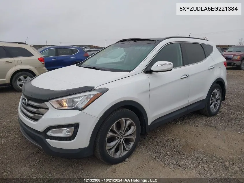 2014 Hyundai Santa Fe Sport VIN: 5XYZUDLA6EG221384 Lot: 12132906